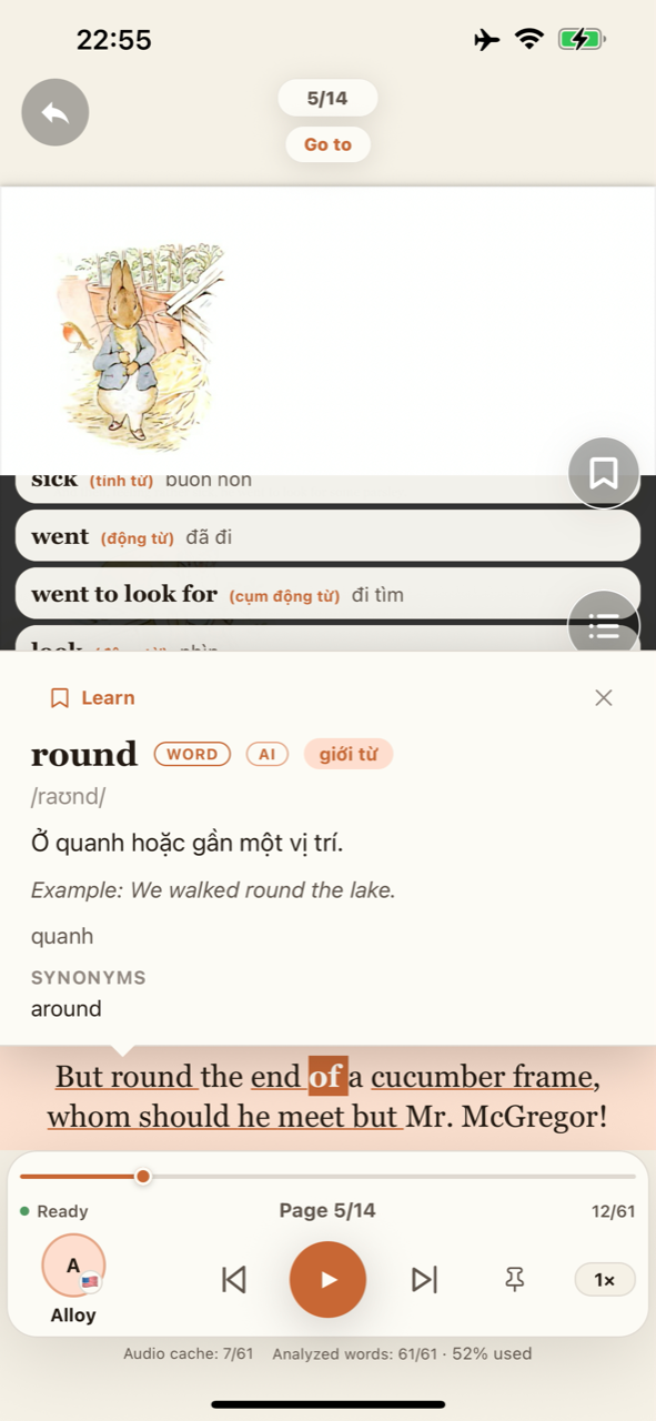 A contextual dictionary showing pronunciation, a word meaning and an example above the book caption